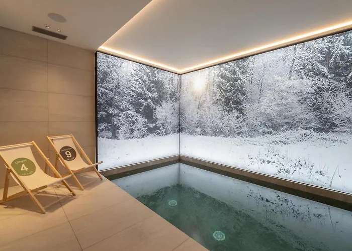 Familial Avec Piscine Et Animaux Admis Proche Pistes - Fr-1-568-37 *